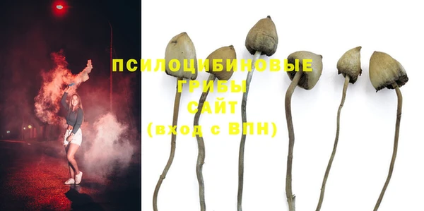 прущий лед Алексин