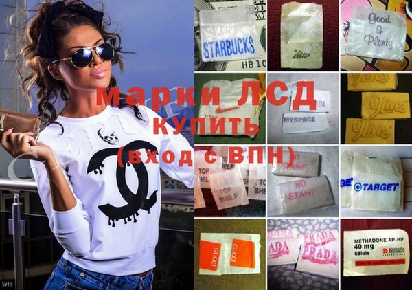 дживик Алзамай