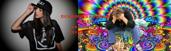 дживик Алзамай