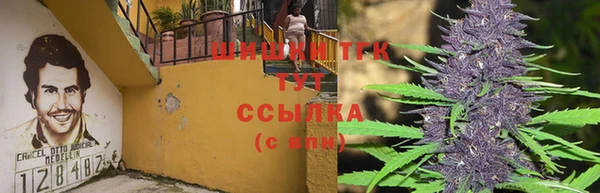 дживик Алзамай